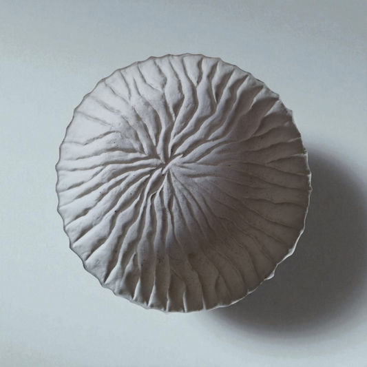 Venus Seashell Bowl