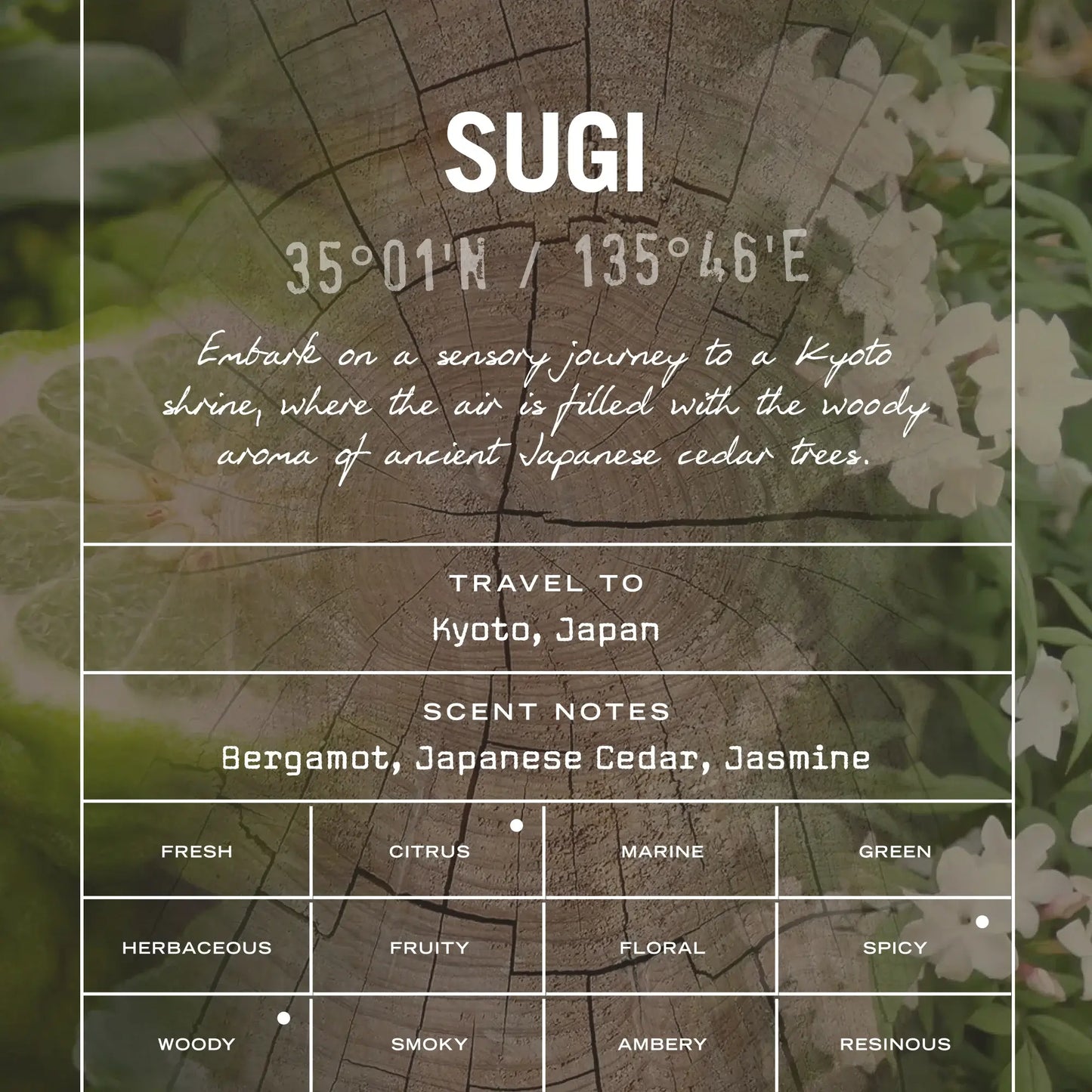 Sugi Scented Candle