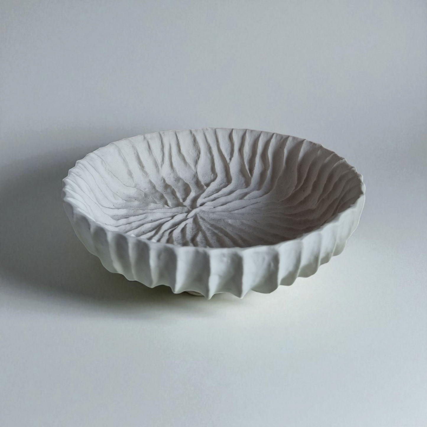Venus Seashell Bowl